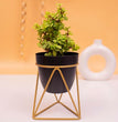 Planter Pot Stand for Outdoor | Planter Stand for Garden | Plant Stand for Home | Gamla Stand for Home | Metal Indoor Pots with Drainage Hole | Set of 1| Gardening | Planter