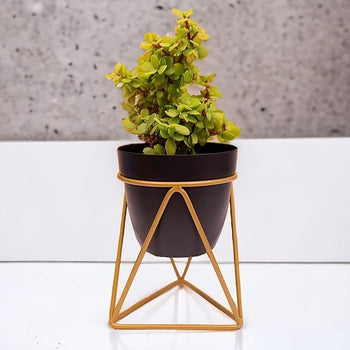 Planter Pot Stand for Outdoor | Planter Stand for Garden | Plant Stand for Home | Gamla Stand for Home | Metal Indoor Pots with Drainage Hole | Set of 1| Gardening | Planter