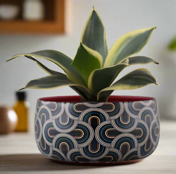 Table Top Planter With Meena Pot | Designed Handi pot | Gardening | Planter pot